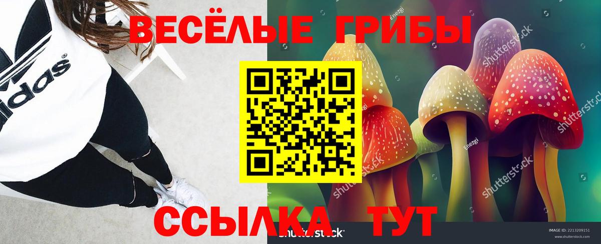 Галлюциногенные грибы Magic Shrooms Печора